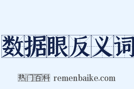数据眼反义词是什么意思的图片